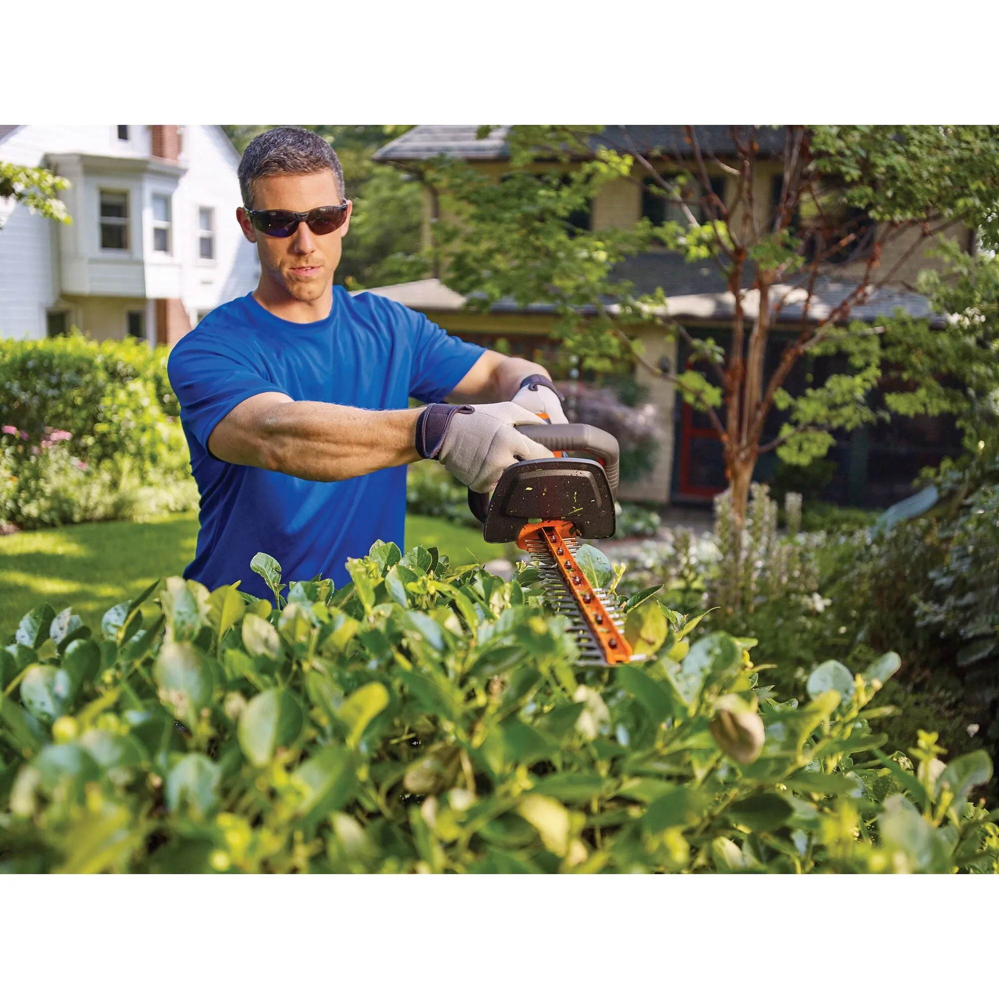 20V MAX* POWERCUT™ Cordless Hedge Trimmer, 22-Inch
