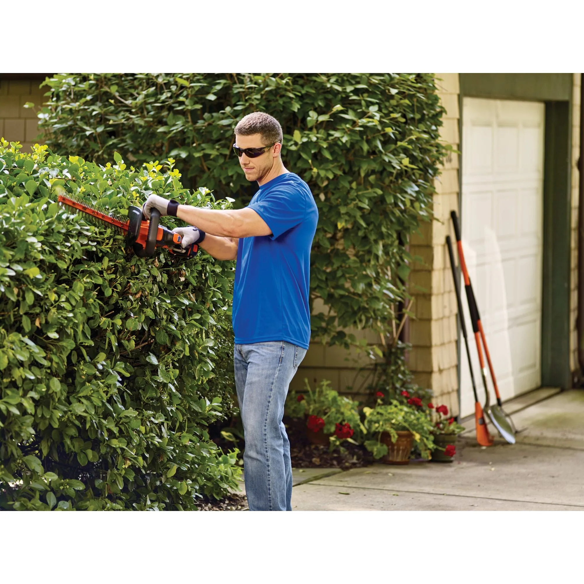 20V MAX* POWERCUT™ Cordless Hedge Trimmer, 22-Inch