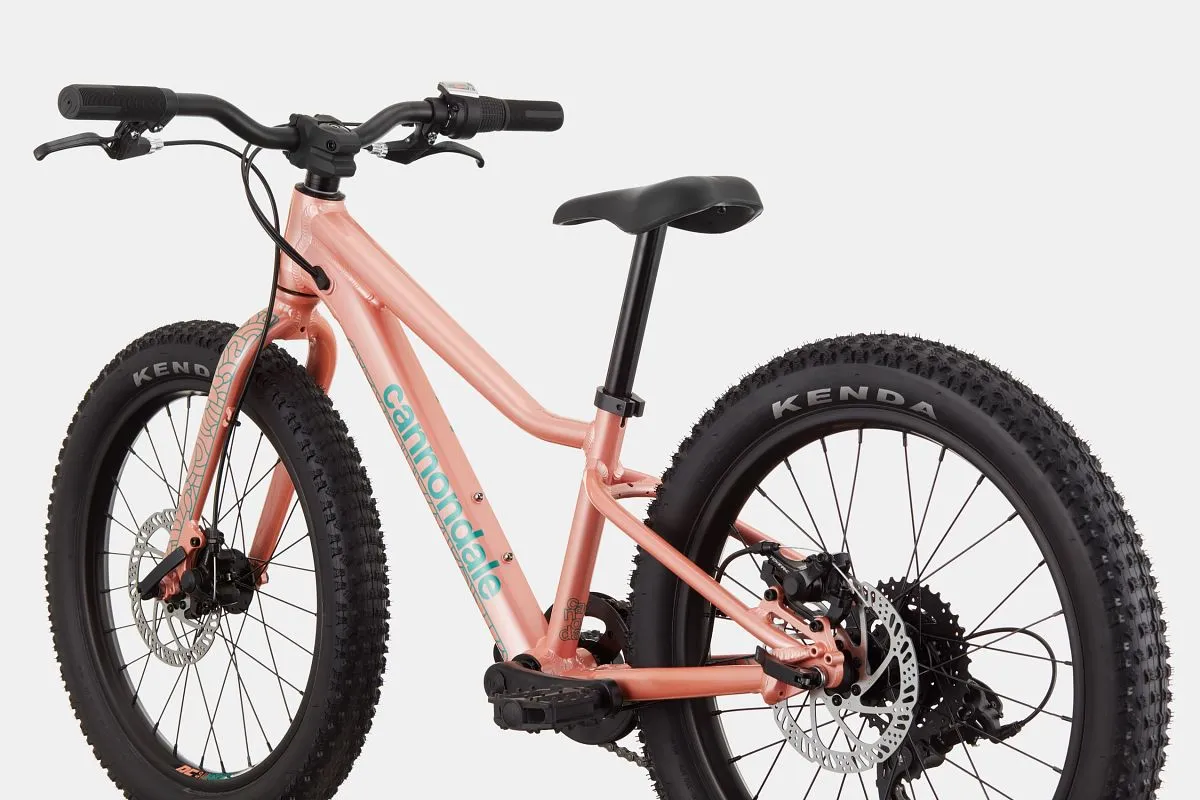 Cannondale Trail Plus 20