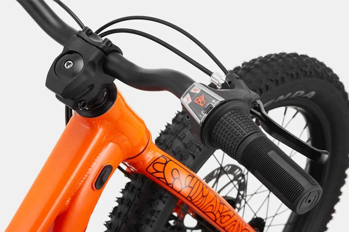 Cannondale Trail Plus 20