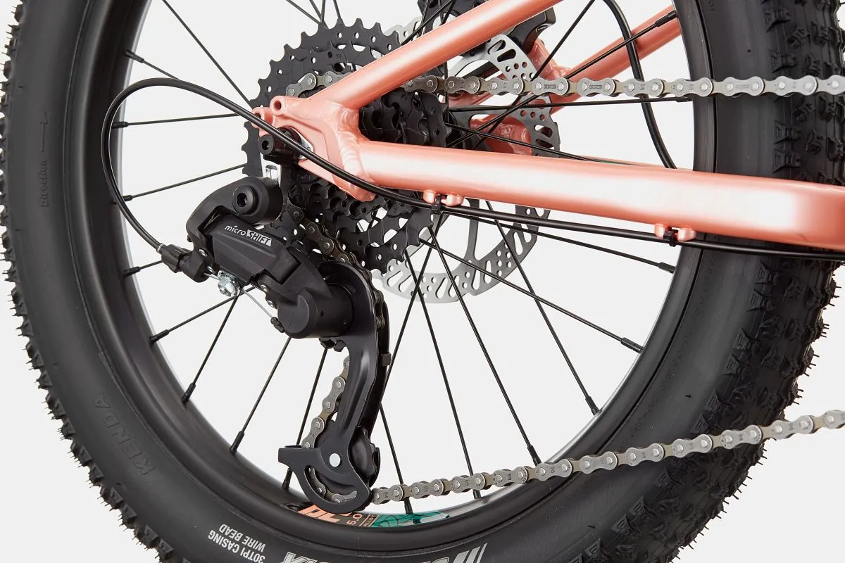 Cannondale Trail Plus 20
