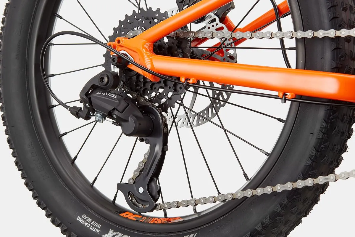 Cannondale Trail Plus 20